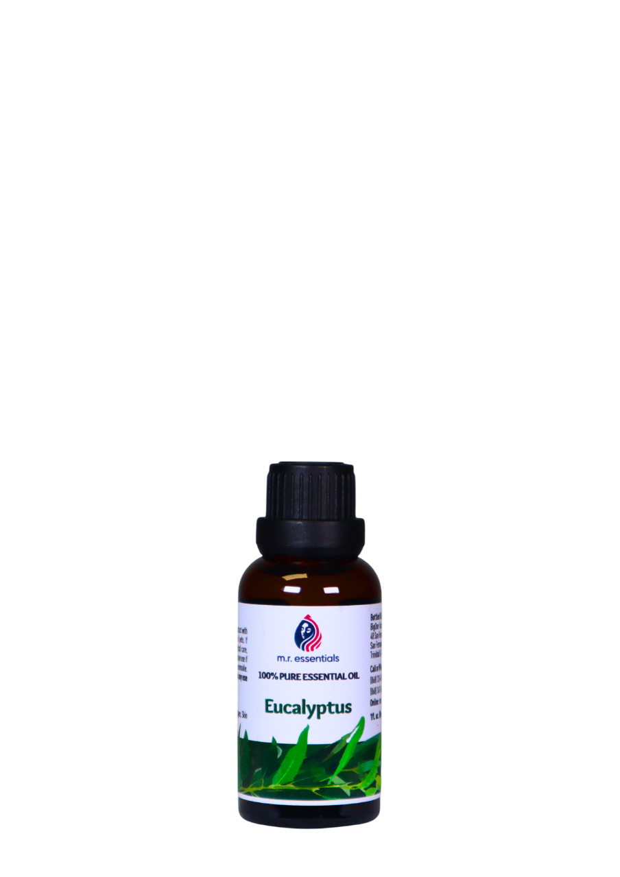 Eucalyptus Essential Oil (Eucalyptus globulus)