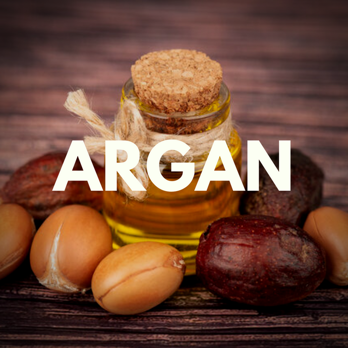 Argan Oil (Argania spinosa) - Refined