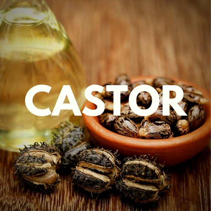 Castor Oil (Ricinus communis) - Refined