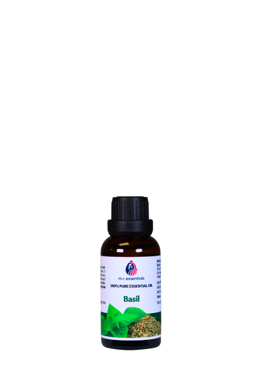 Sweet Basil Essential Oil (Ocimum basilicum)