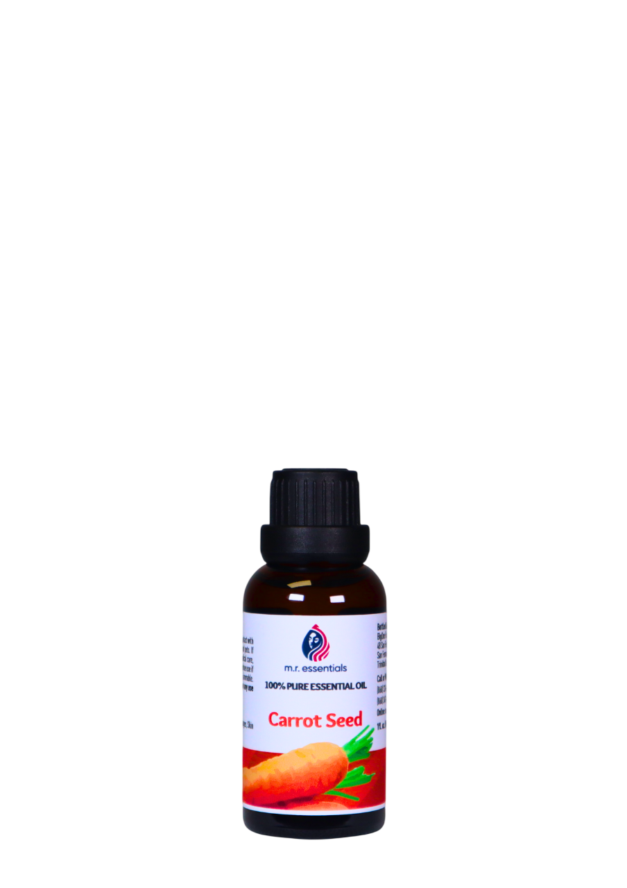 Carrot Seed Essential Oil (Daucus carota)