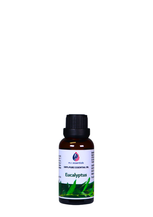 Eucalyptus Essential Oil (Eucalyptus globulus)