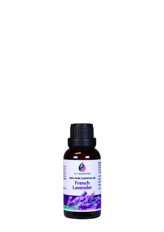 French Lavender Essential Oil (Lavandula stoechas)